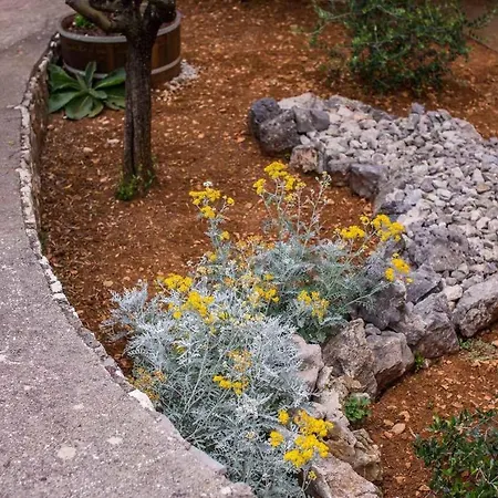 Apartment In Vrbnik/insel Krk 36871 *